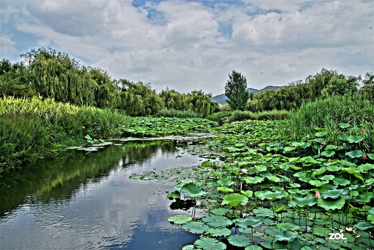 青岛夏日河边风景随拍
