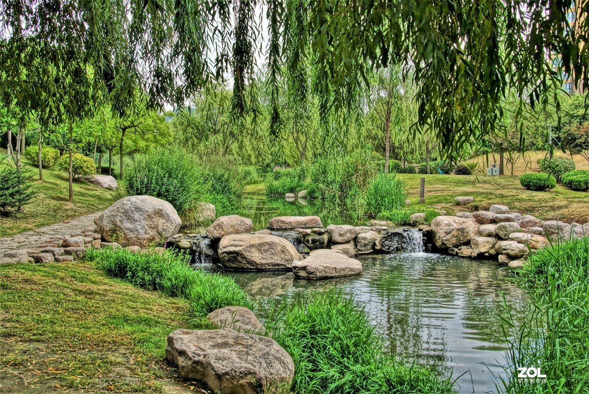 青岛夏日河边风景随拍