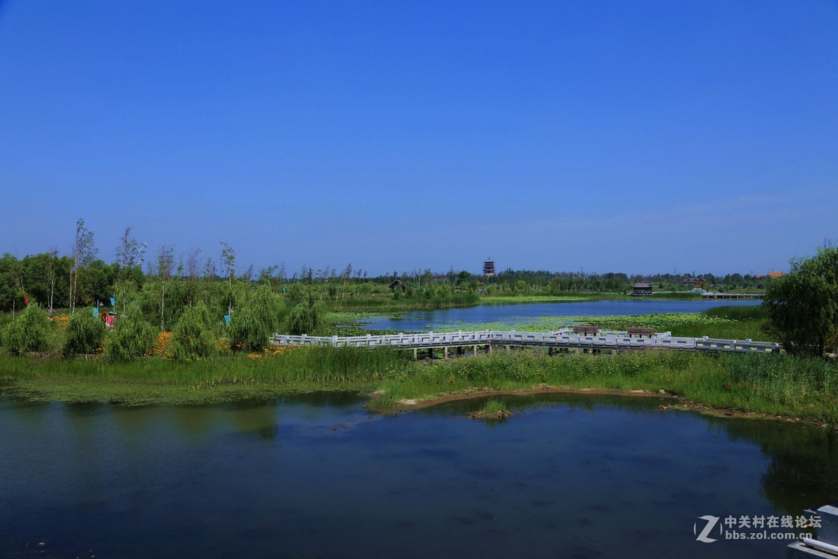 长春北湖湿地公园采风作业