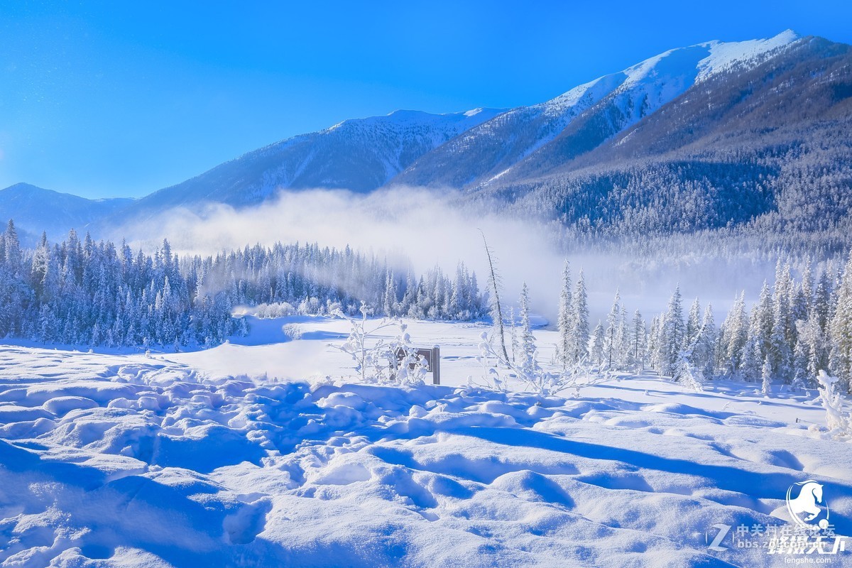 蜂摄天下新疆雪景白雪皑皑中的静寂之美