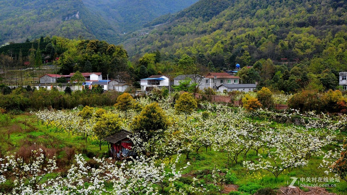 山村美景-中关村在线摄影论坛