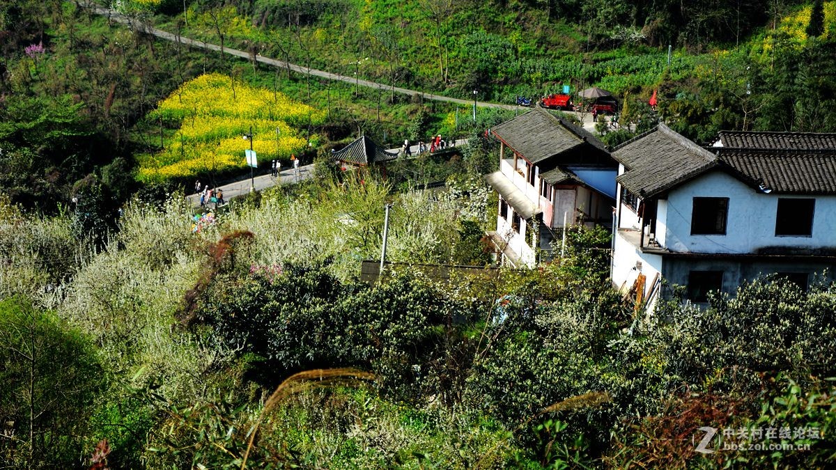 山村美景