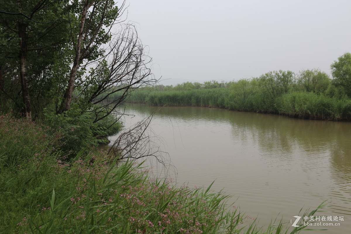 陕西渭南洽川黄河湿地公园