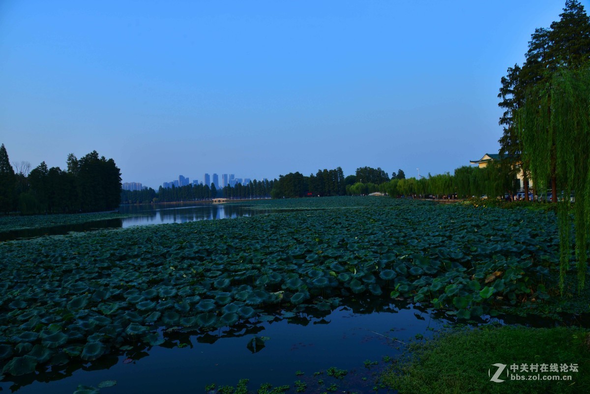 武汉城东湖公园