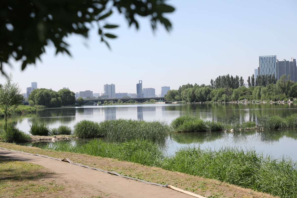 太原市湿地公园游览随拍