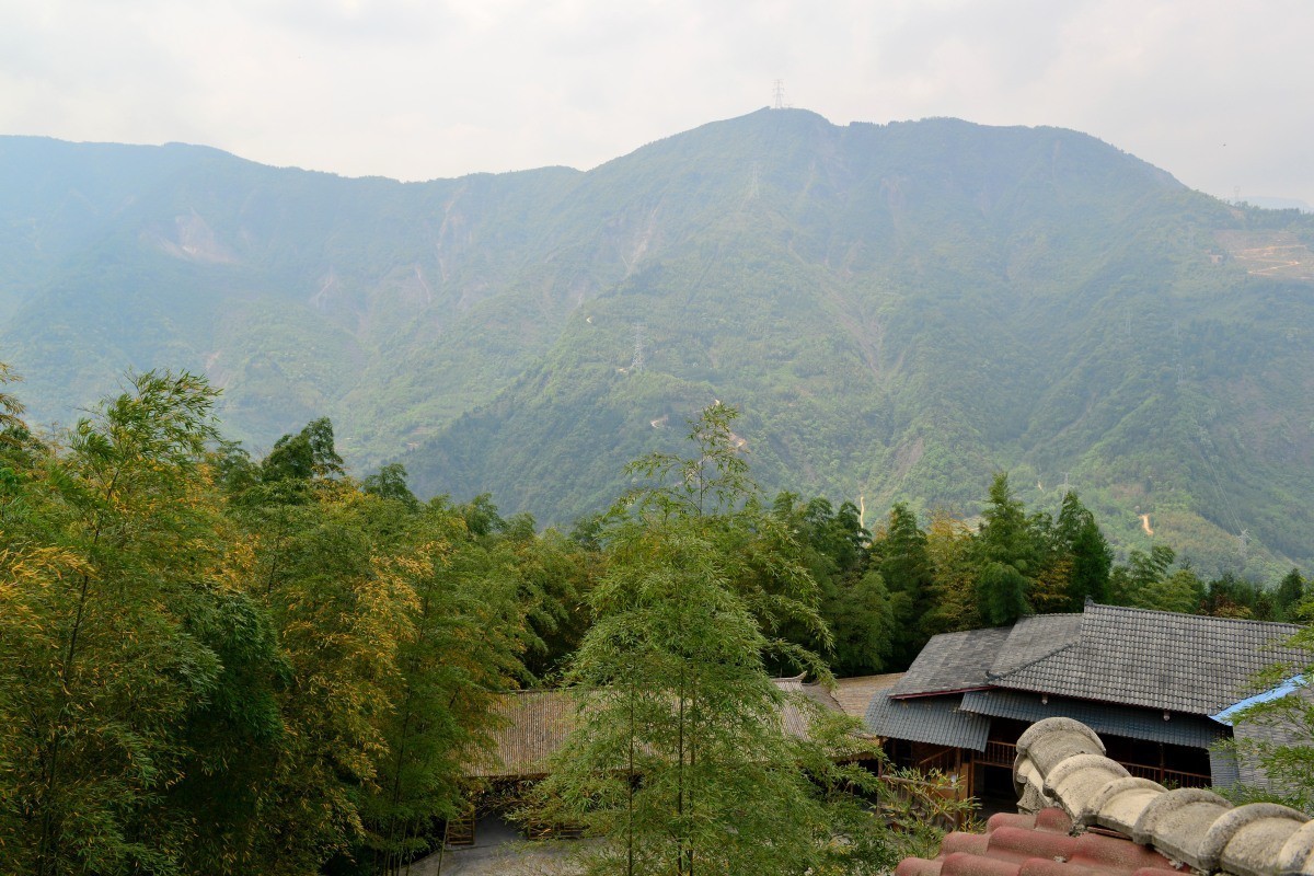 北川羌王竹海