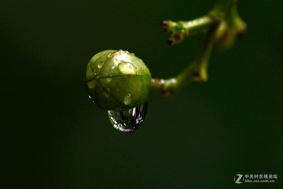 雨珠