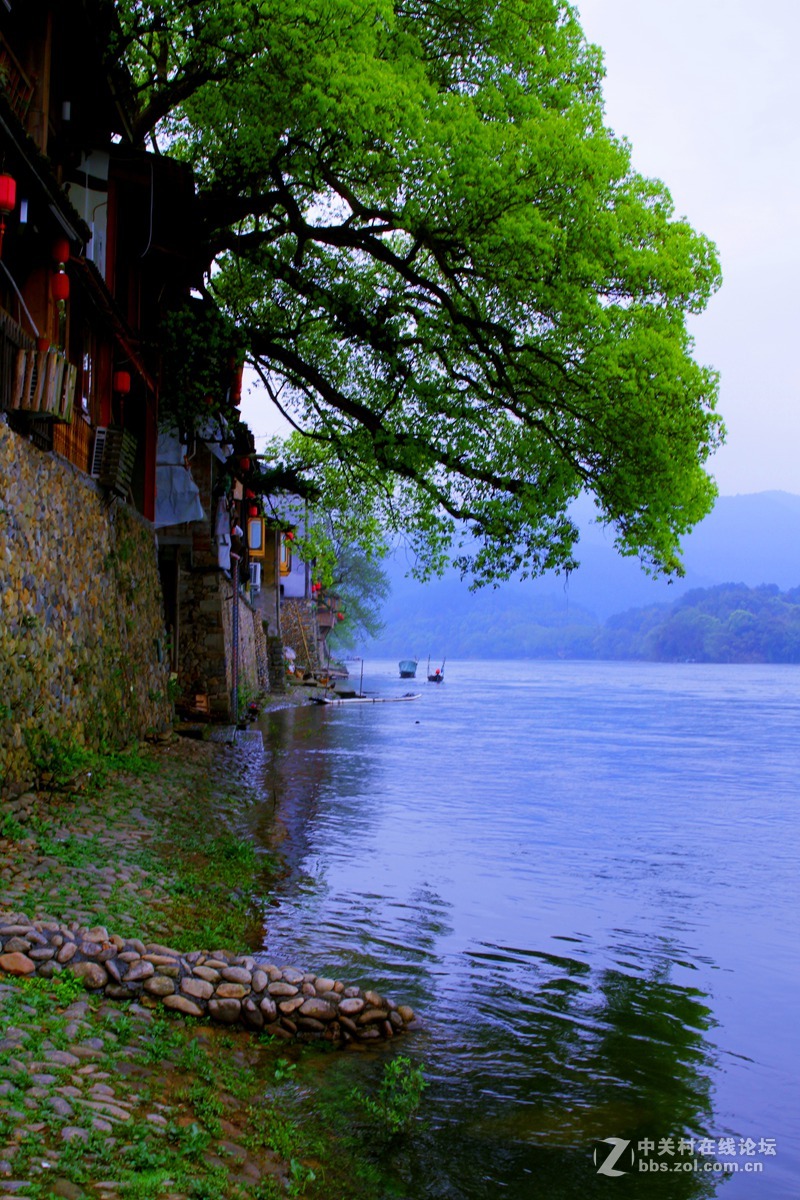 山清水秀在丽水