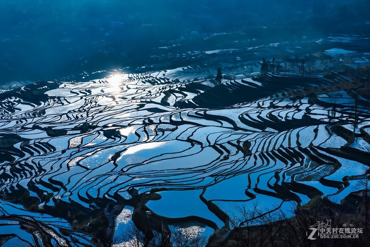 云南元阳哈尼梯田多依树景区