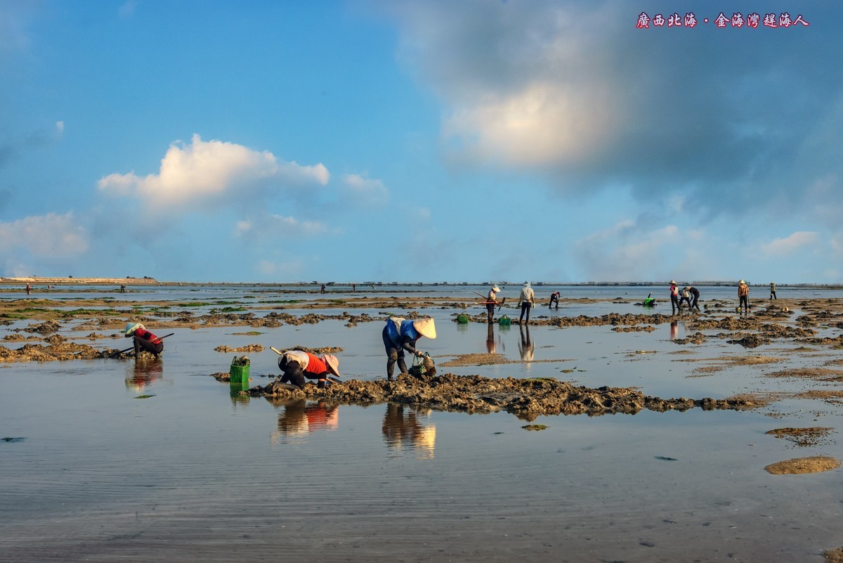 广西北海金海湾疍家人赶海