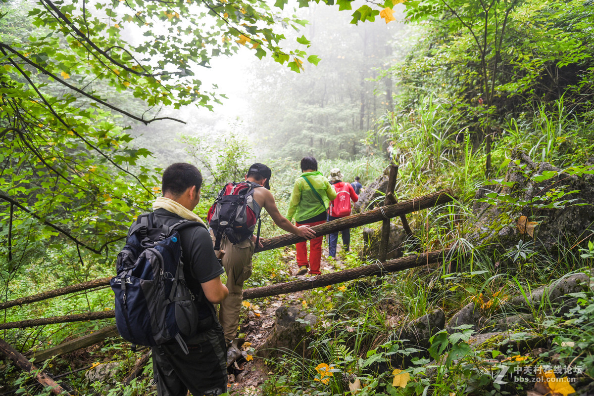 d750金蟾开路深山徒步记