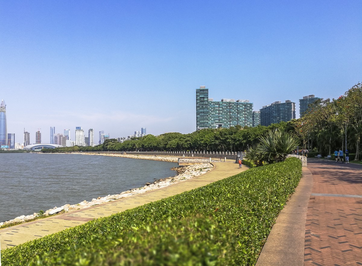 深圳湾红树林公园掠影