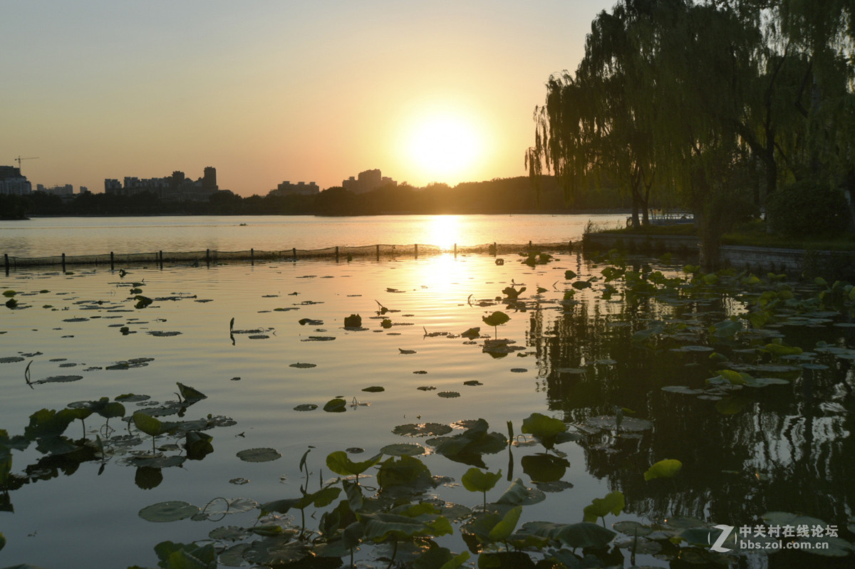 晴空朗日赏夕阳