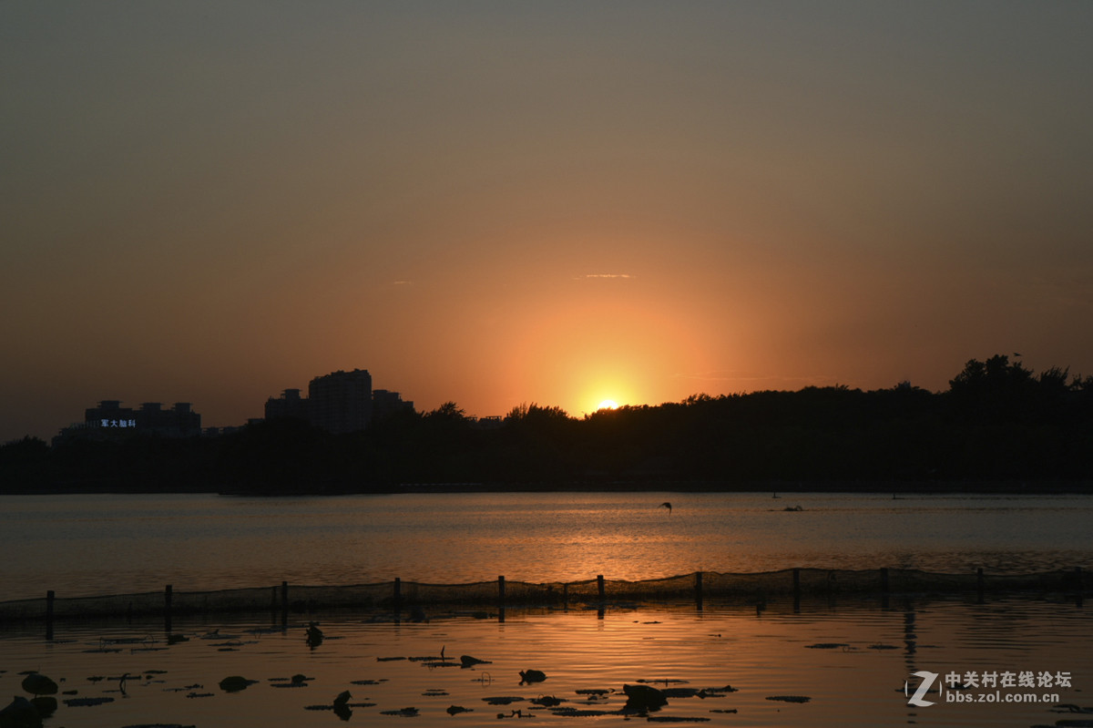 晴空朗日赏夕阳