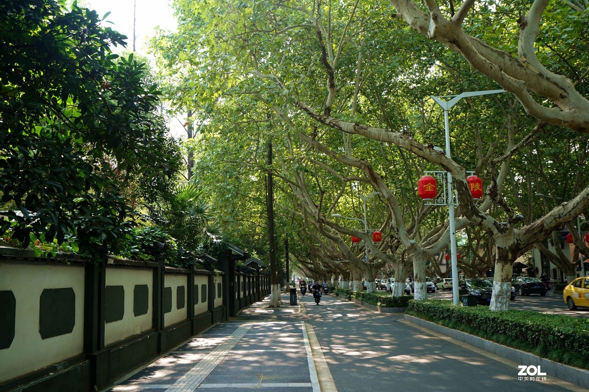 感觉秋天拍最好南京颐和路民国民居