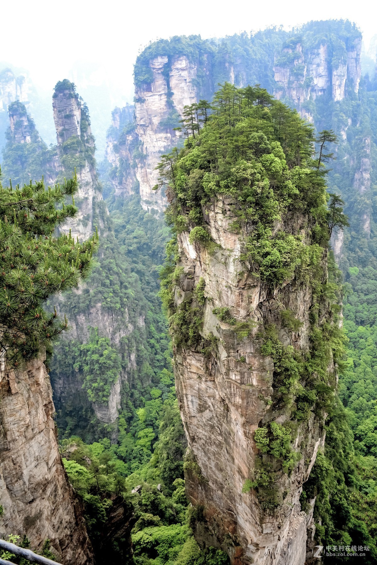 张家界袁家岭风景