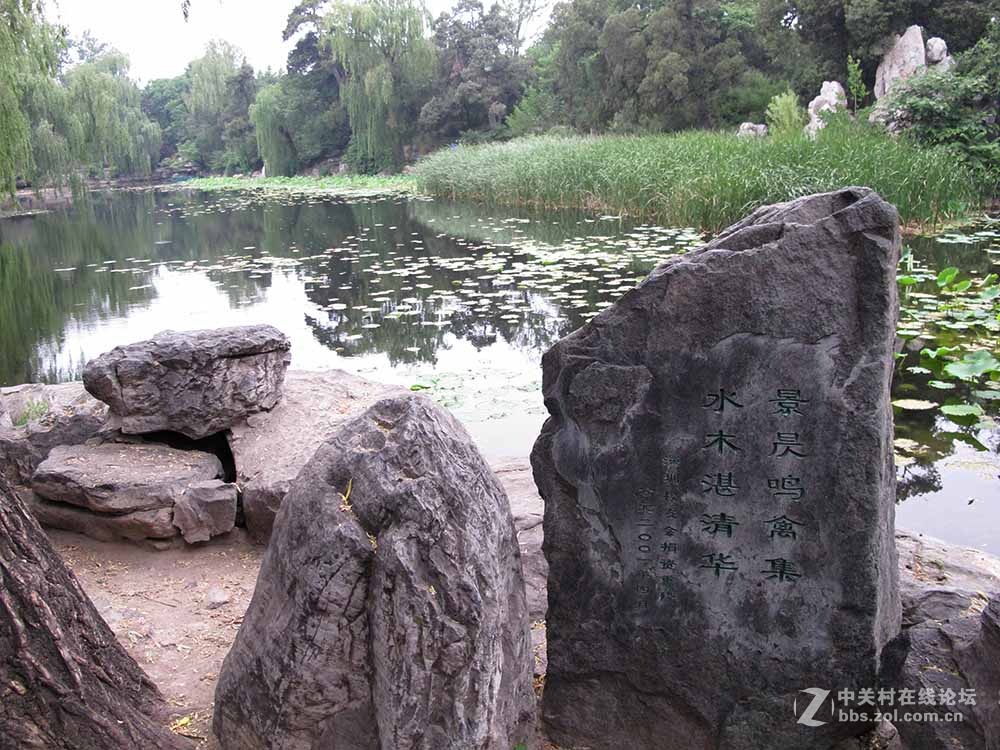 景昃鸣禽集水木湛清