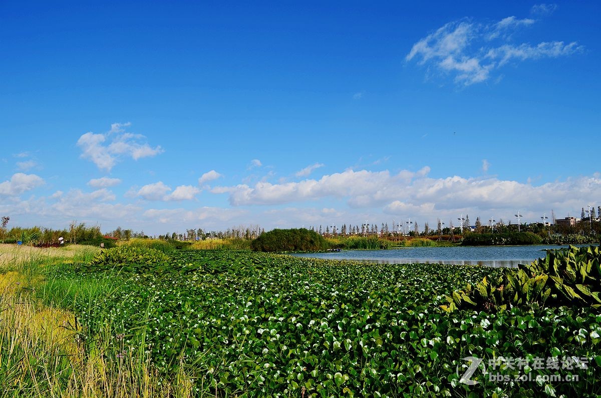 昆明滇池海东湿地公园二