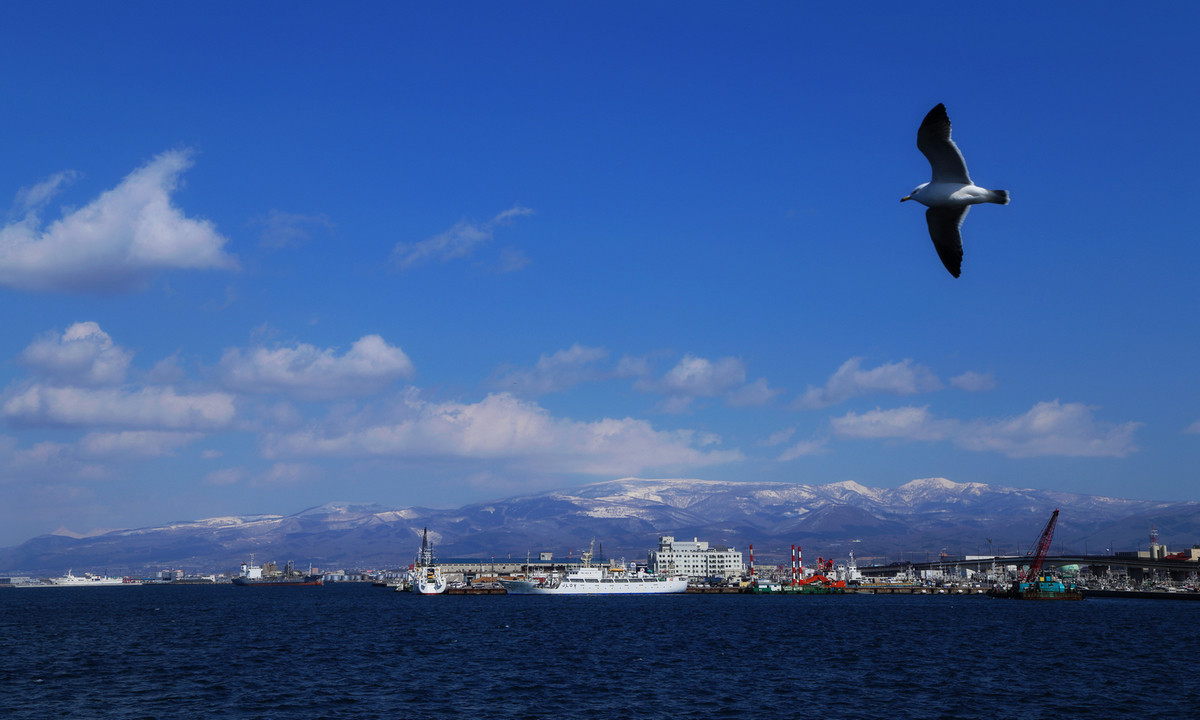 日本北海道雪景