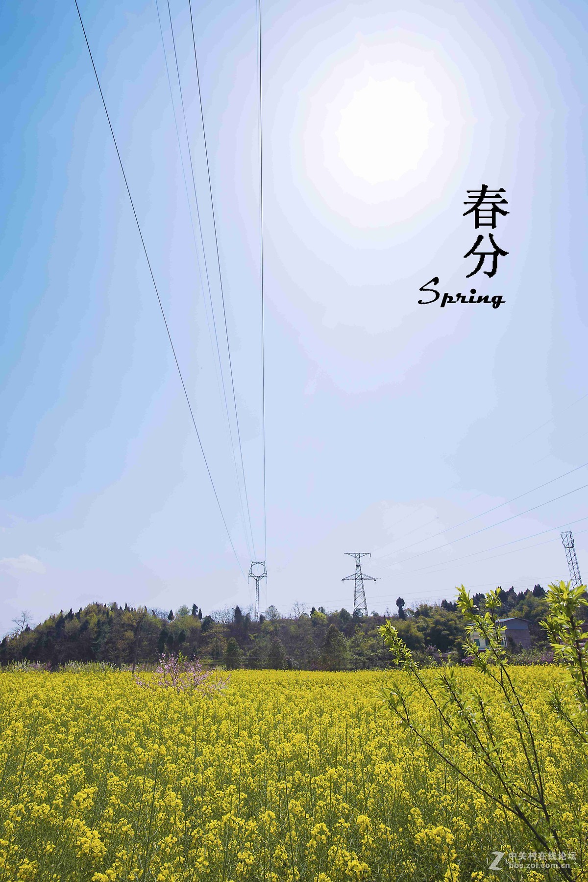 春分