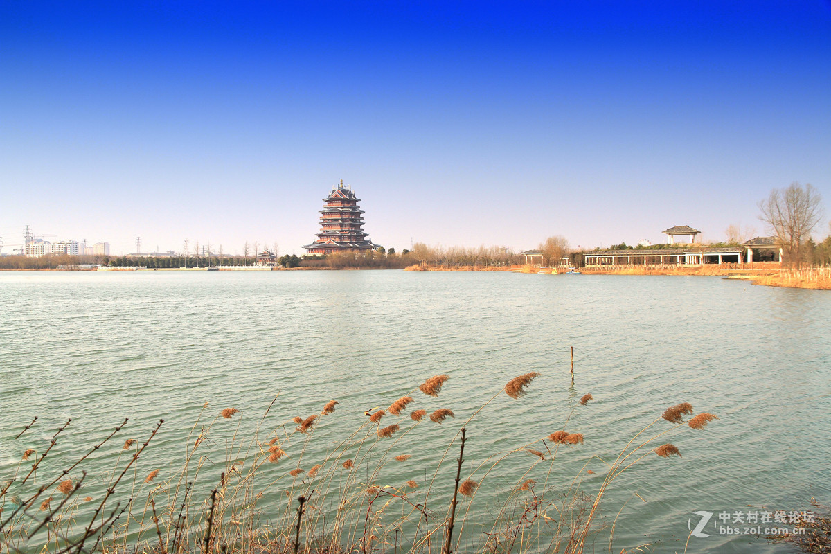 江苏邳州沙沟湖水杉公园风景(三)