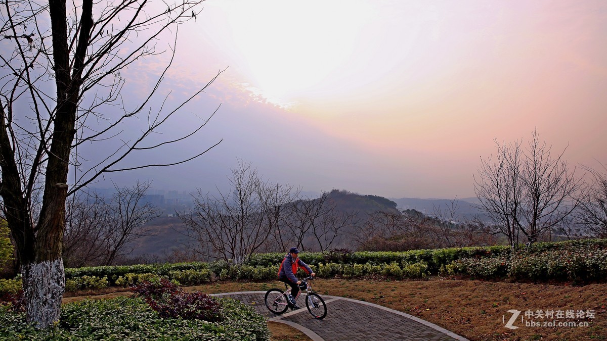 羊山暮色南京仙林羊山公园