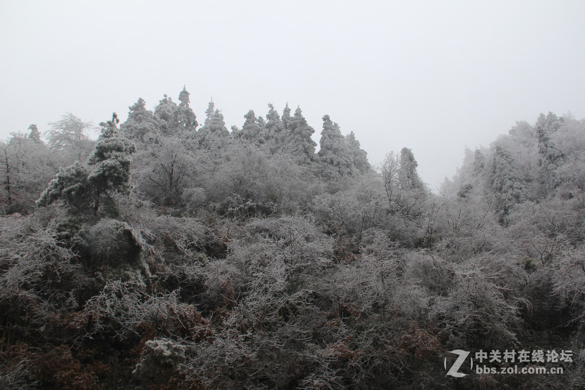 2015雪凌银装素裹