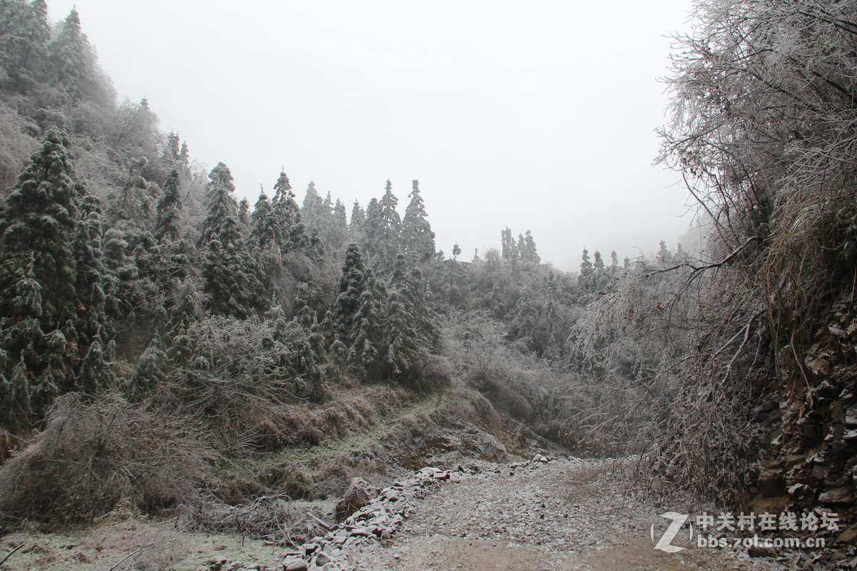 2015雪凌银装素裹