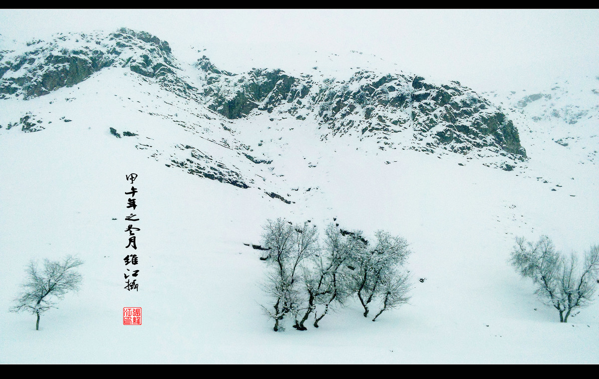 寻找尼康镜头中的最美中国千山鸟飞绝