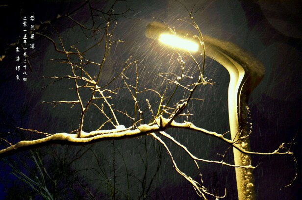 最近拍的一组照片,夜里的雪景.