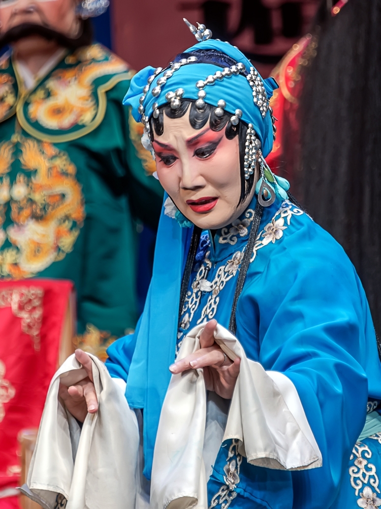 舞台摄影川剧铡美案之秦香莲拦轿告附马