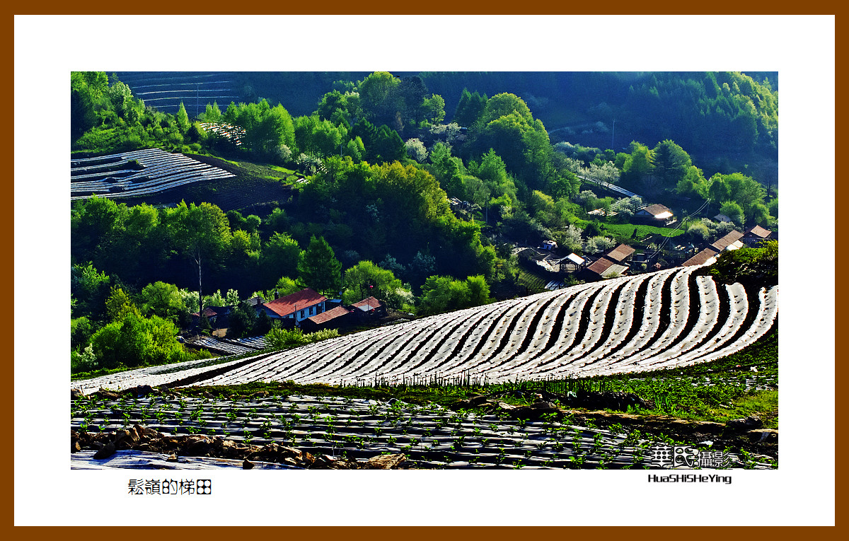 魅力东北松岭梯田小景吉林临江