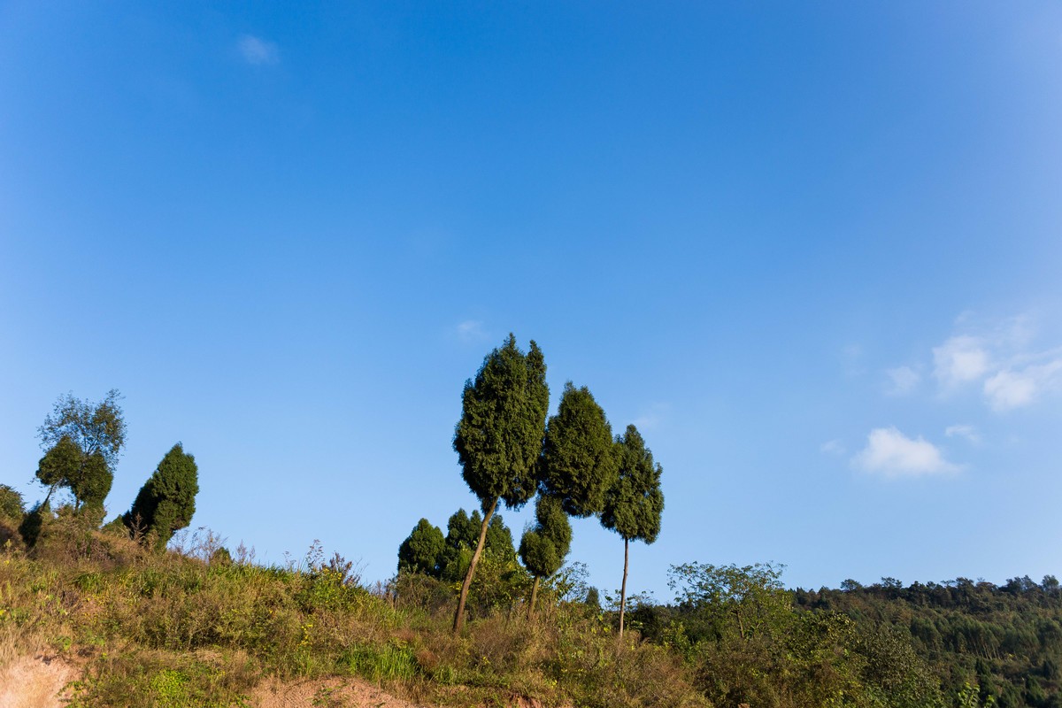 荒山野岭