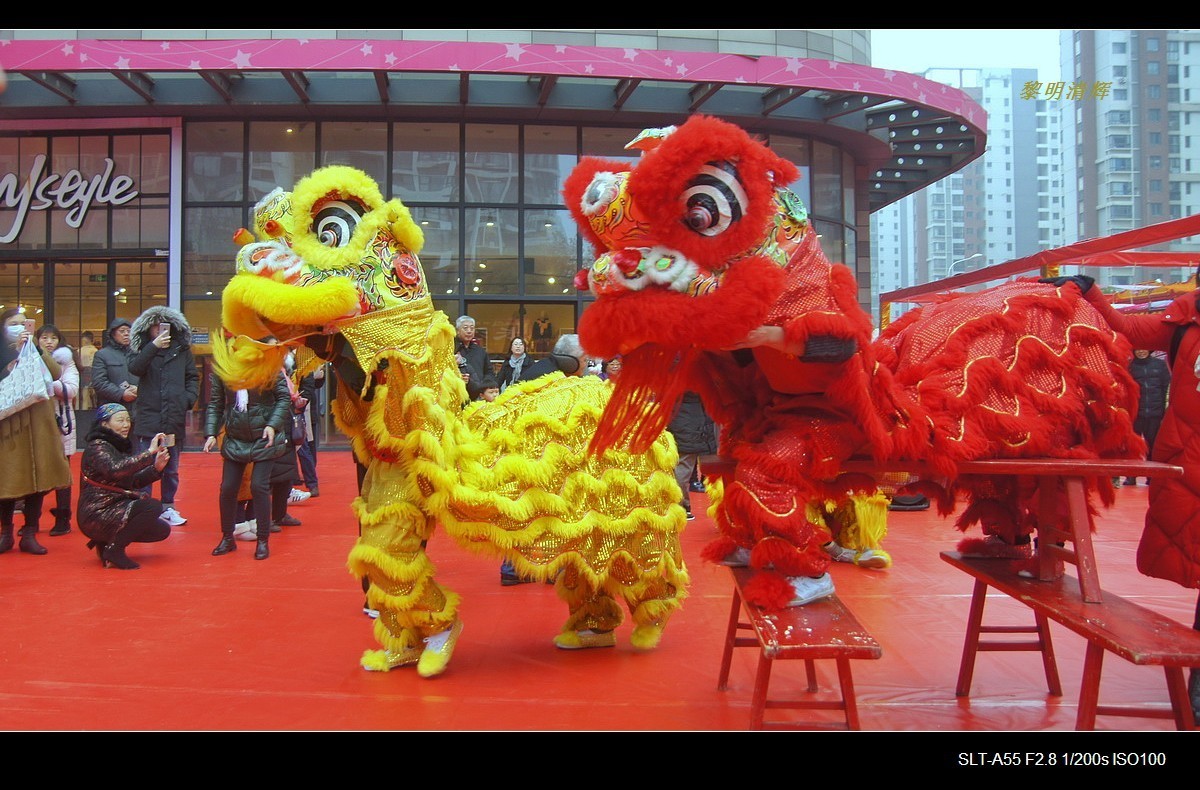 过年美食大集与市民同欢的狮子