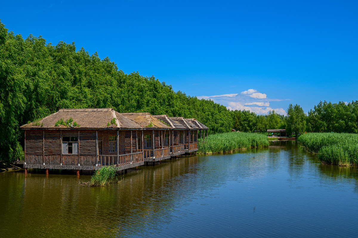 白鱼泡湿地公园