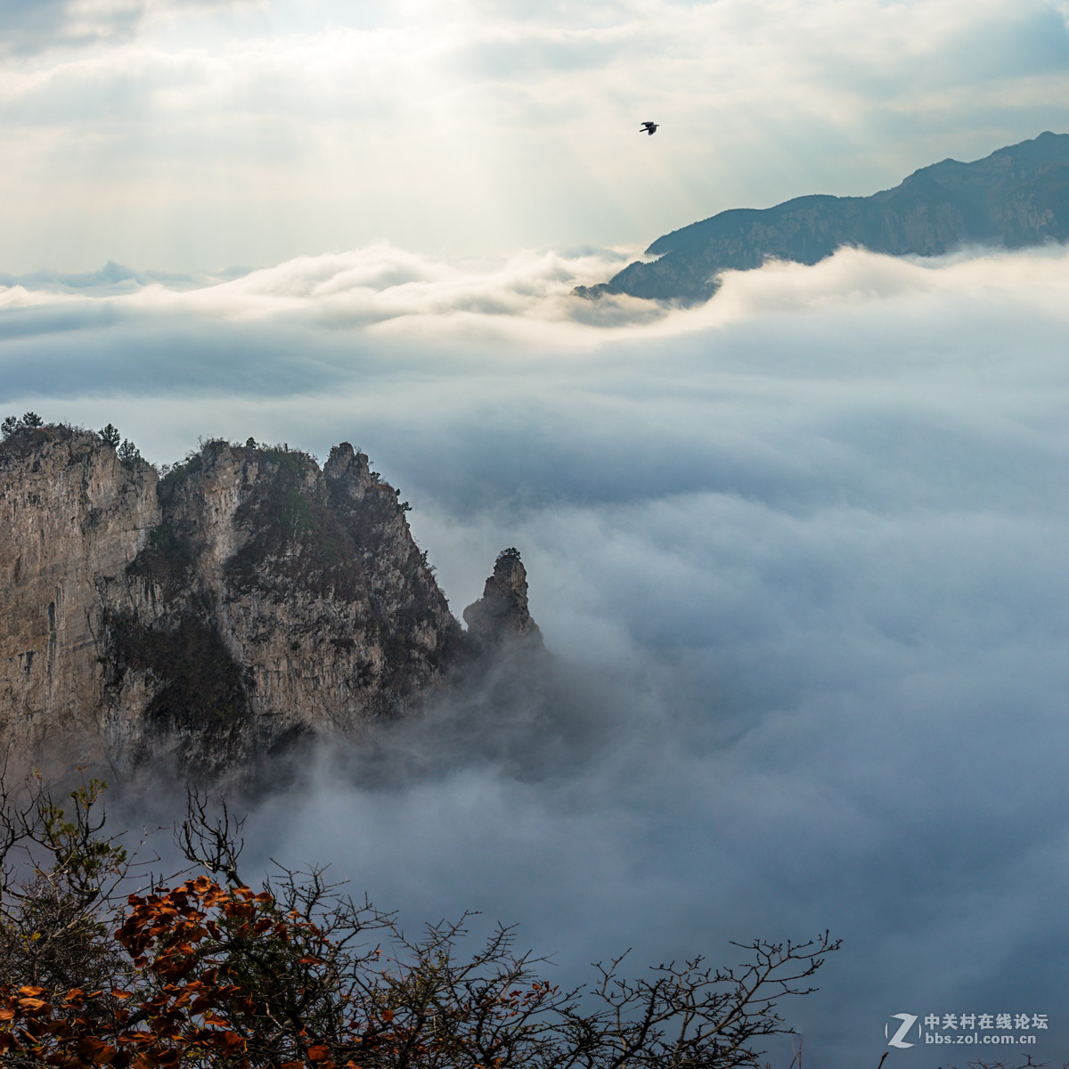 云台山云海