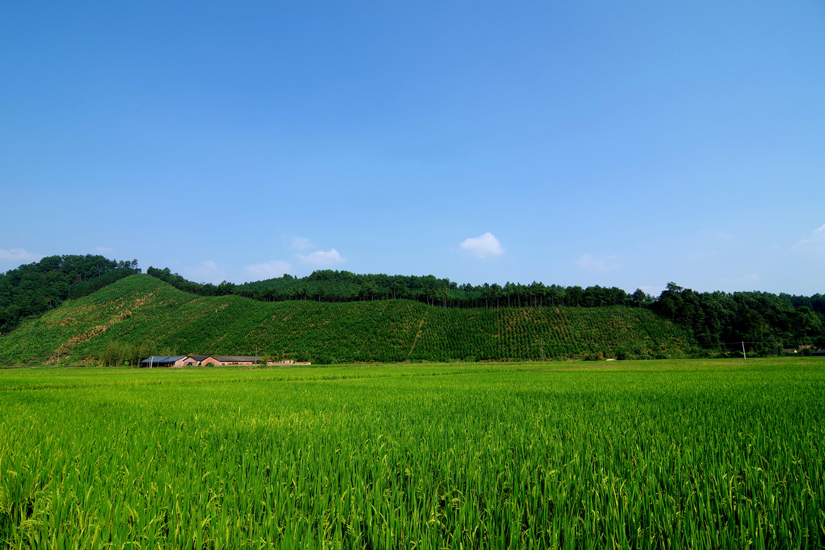 美丽乡村