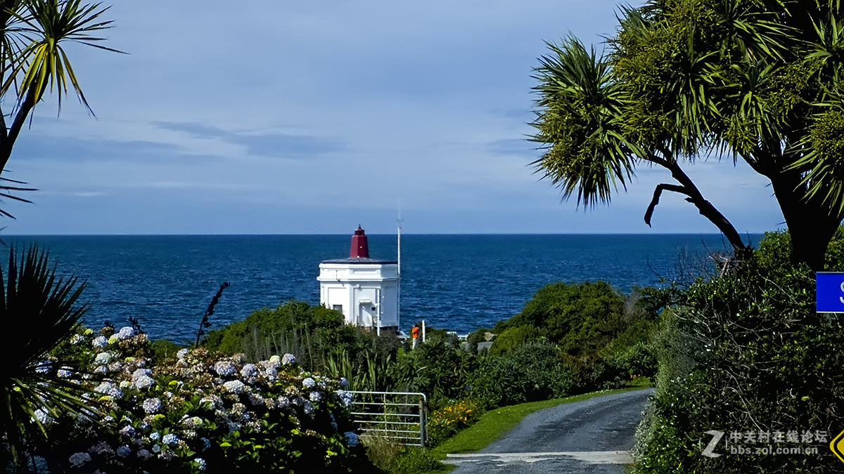新西兰采风拍摄纪行三面环海最南端小镇布拉夫bluff