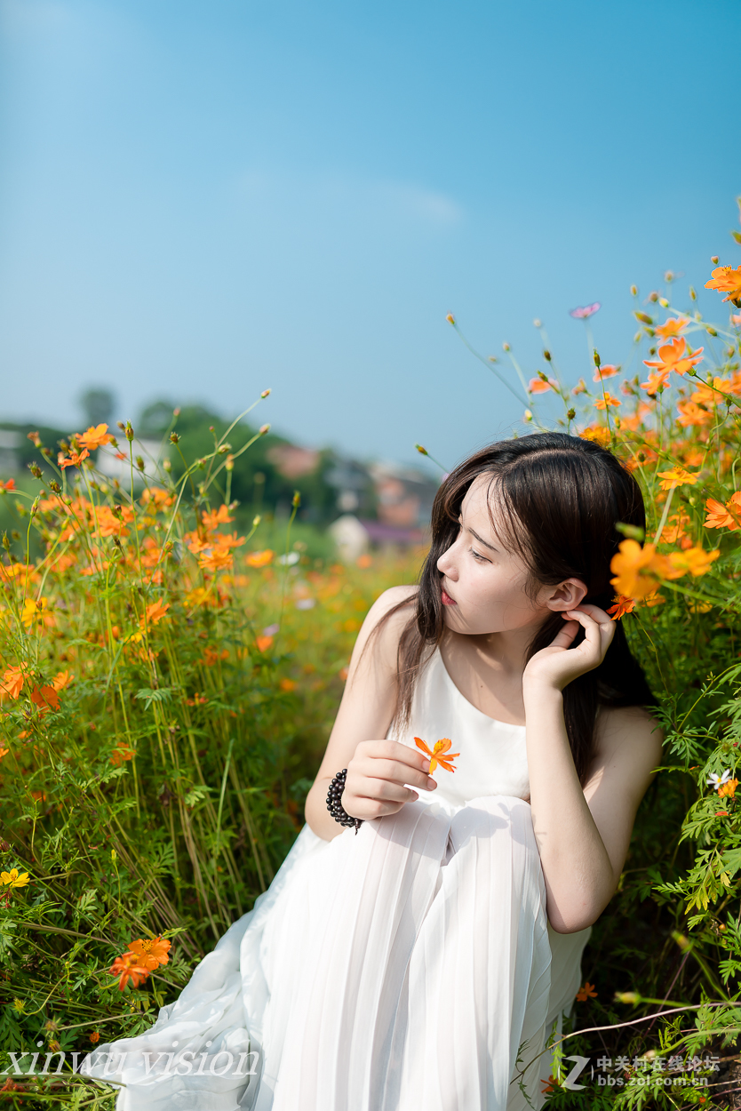 格桑花之花季少女雯雯