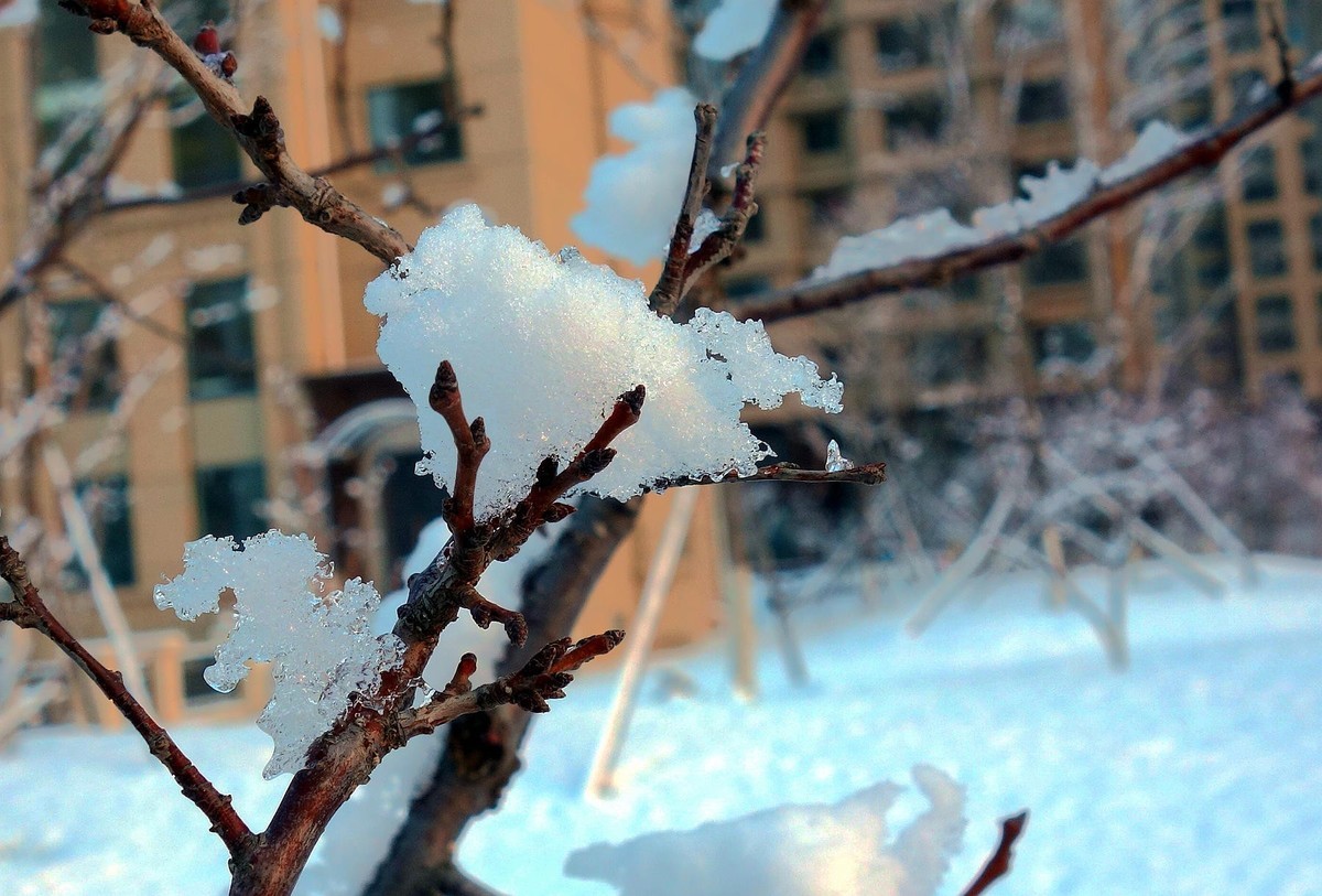 雪晶晶