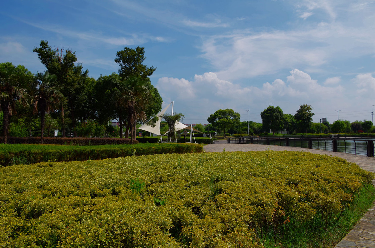 芦墟大渠荡生态公园