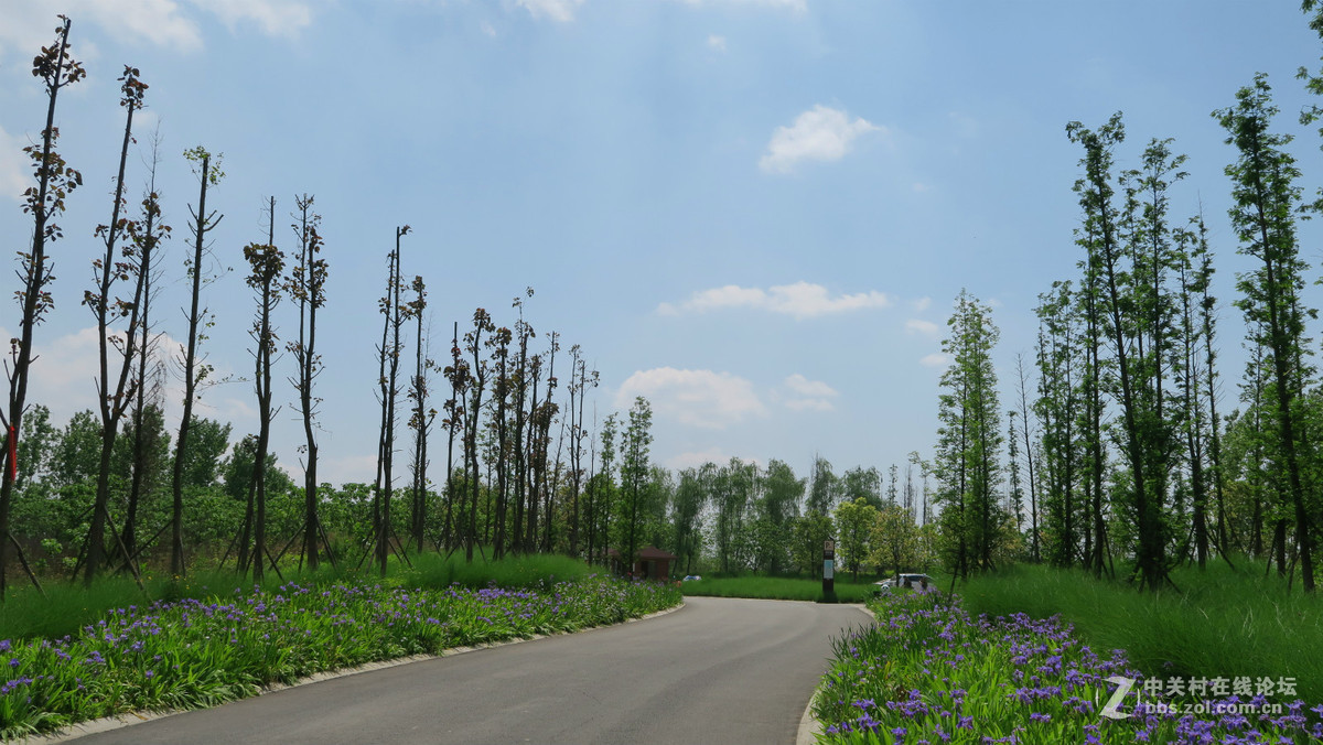 实拍成都新都香城湿地生态公园