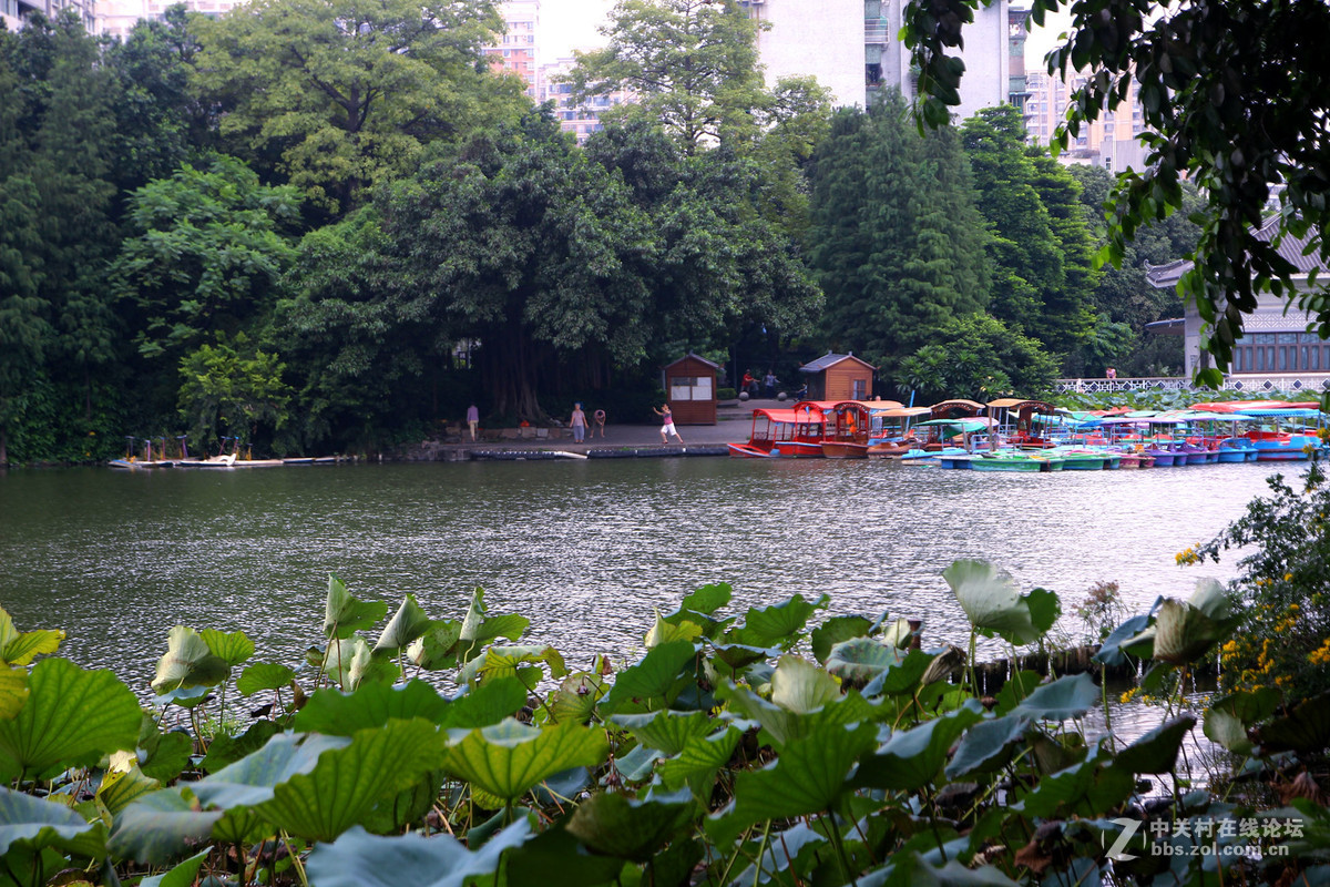 广州荔湾湖公园随拍