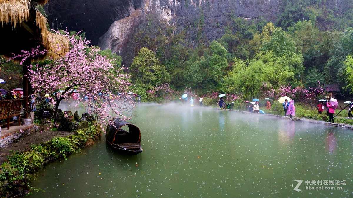 山寺桃花始盛开重庆酉阳桃花源