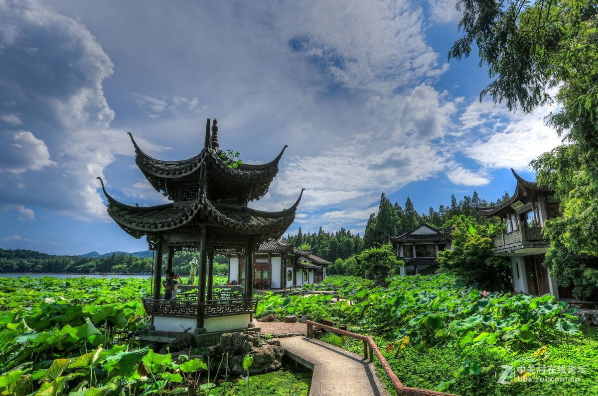 浙江杭州西湖十景之一曲苑风荷