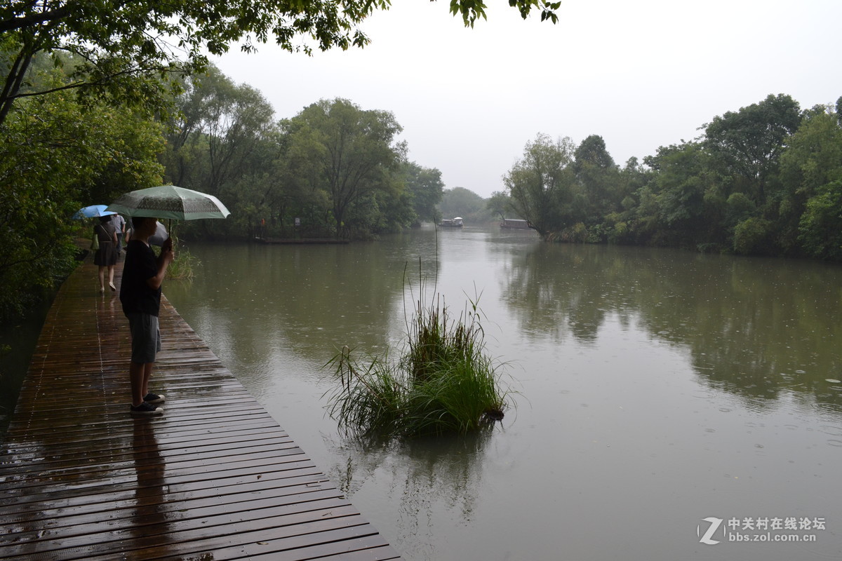 雨中漫步西溪湿地公园