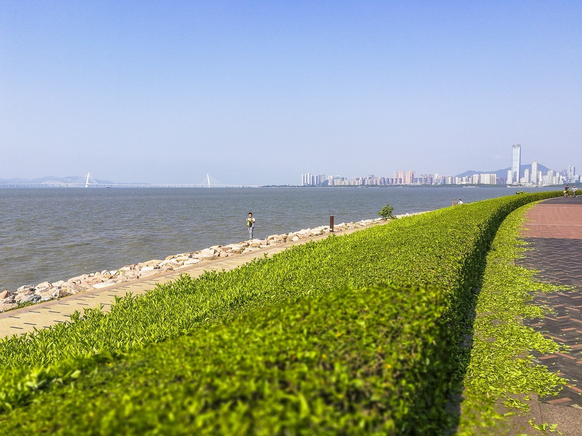 深圳红树湾公园掠影
