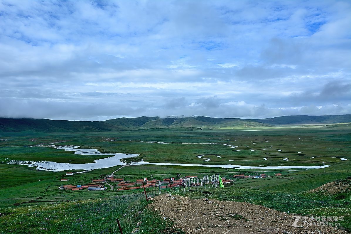 郭莽湿地