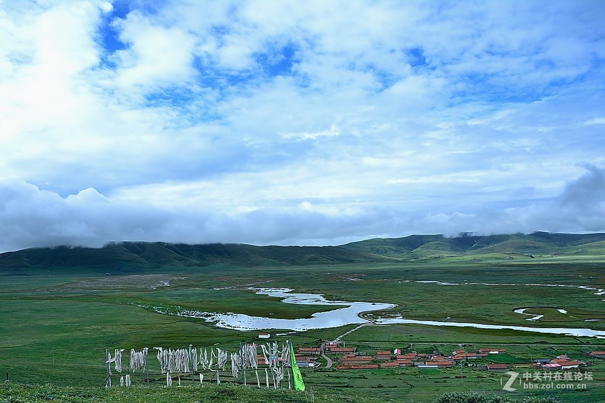 郭莽湿地