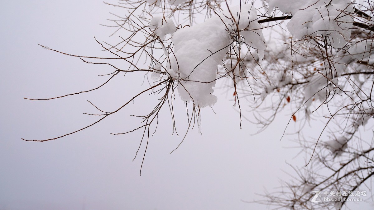 北国第一场雪3